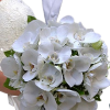Beyaz Orkide Gelin Çiçeği