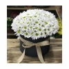 Kutuda Çiçek Beyaz Papatya