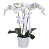 Seramikte 3 Beyaz Orkide